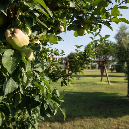 San Francesco Country